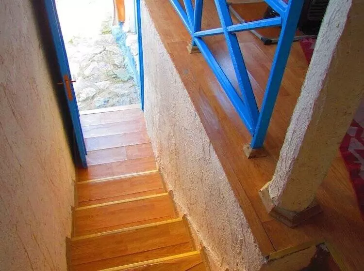 פנסיון Amazon Antique