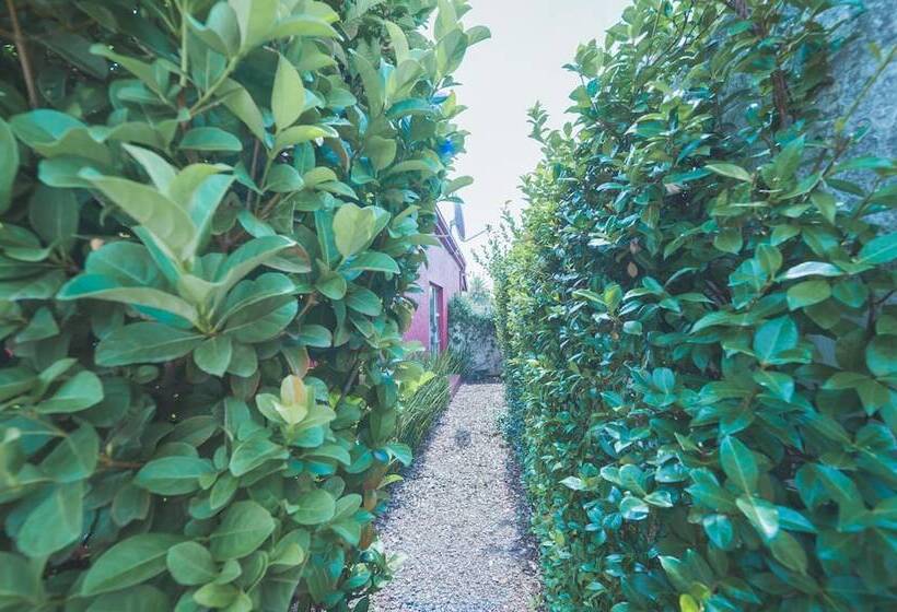 بنسيون Motel Mi Pi Chi