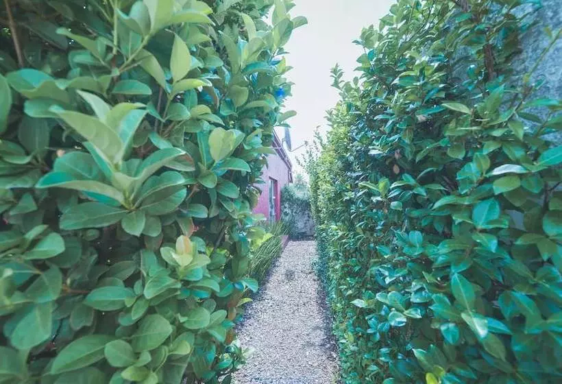 Пансион Motel Mi Pi Chi