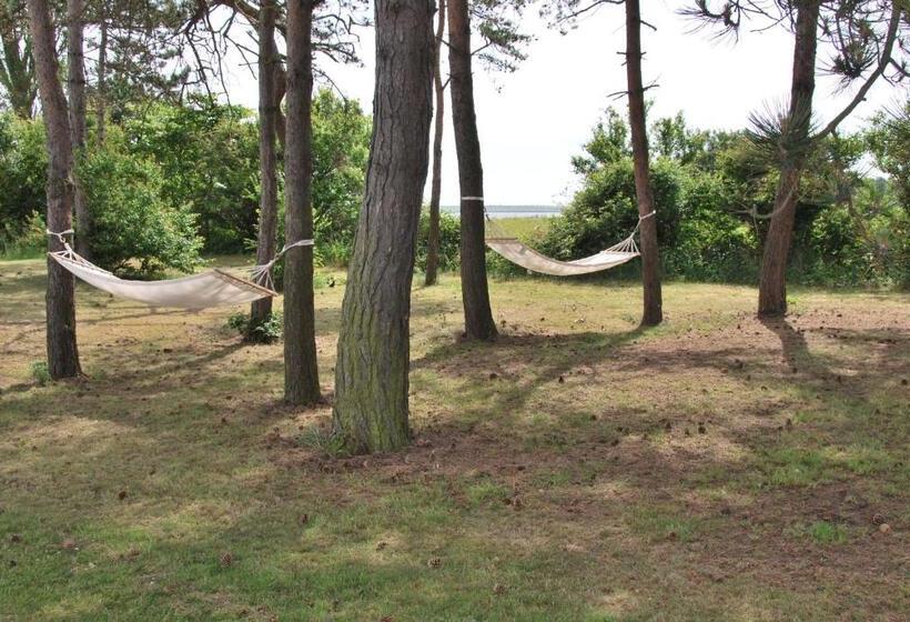 Storebælt Sinatur Hotel & Konference