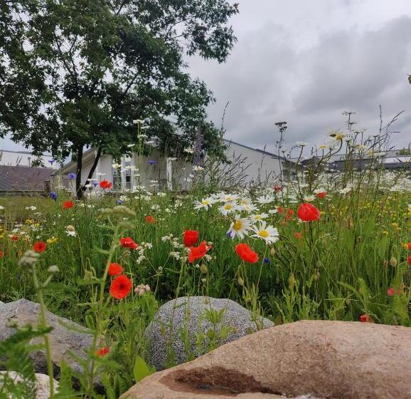 Storebælt Sinatur Hotel & Konference