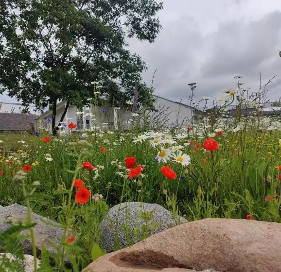 Storebælt Sinatur Hotel & Konference