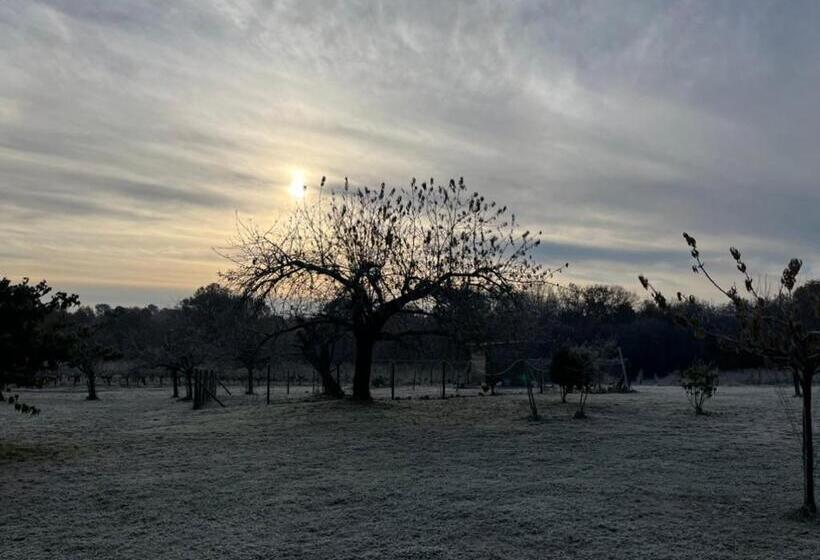 Bed and Breakfast Domaine Canteloup