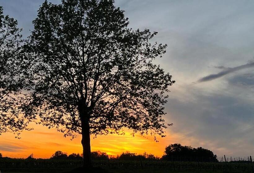 Bed and Breakfast Domaine Canteloup