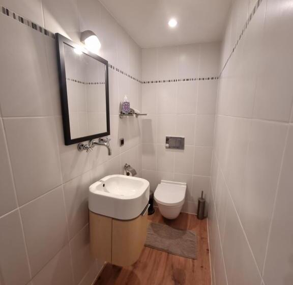 פנסיון Manoir Du Bois Des Rêves