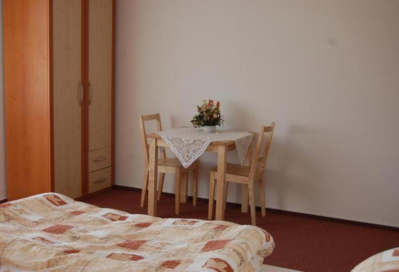 פנסיון Penzion Na Devitce