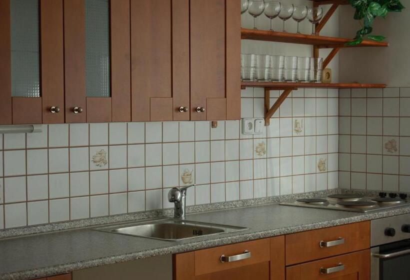 פנסיון Penzion Na Devitce