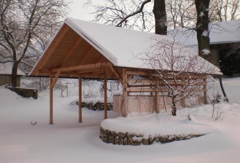 פנסיון Penzion Na Devitce