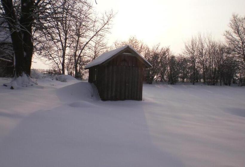 פנסיון Penzion Na Devitce