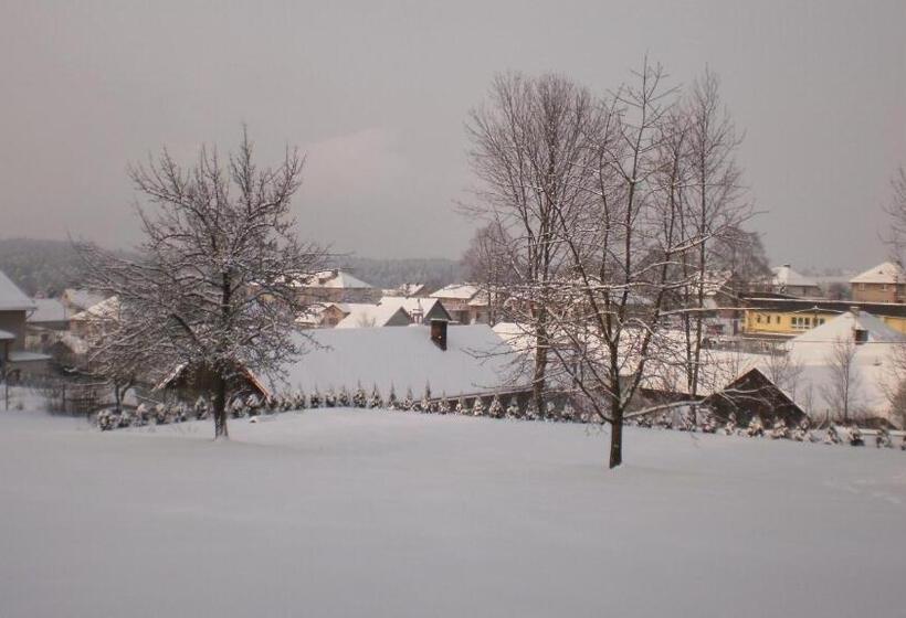 פנסיון Penzion Na Devitce