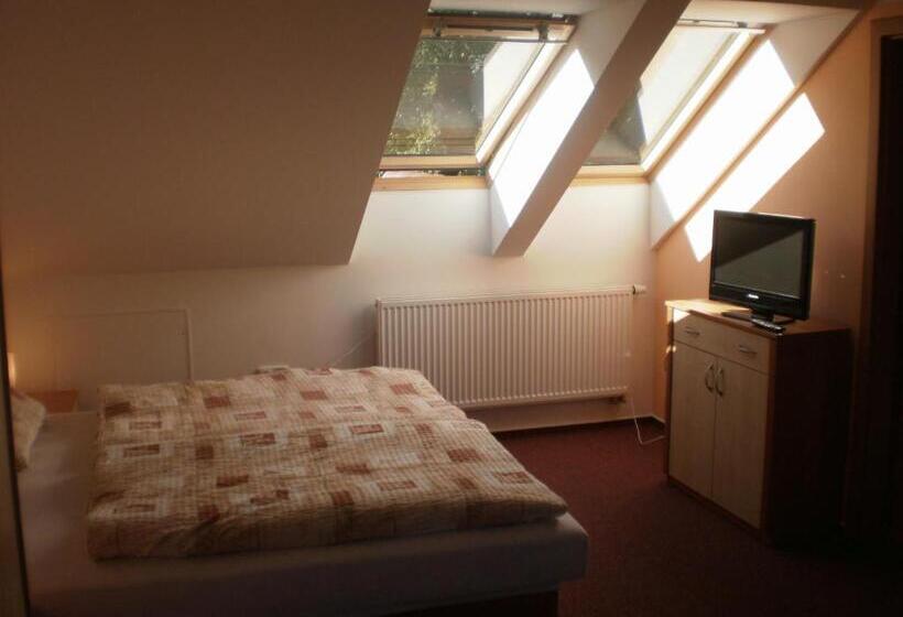 פנסיון Penzion Na Devitce