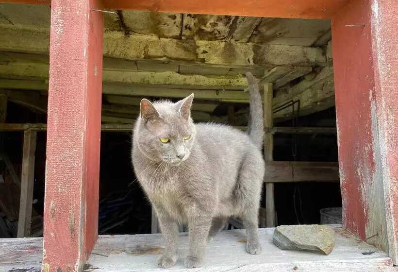 Aamiaismajoitus (B&B) Bloom Farm Guesthouse