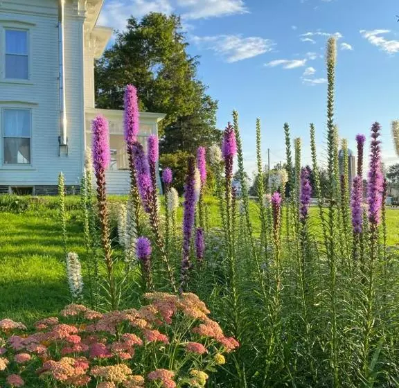 Aamiaismajoitus (B&B) Bloom Farm Guesthouse