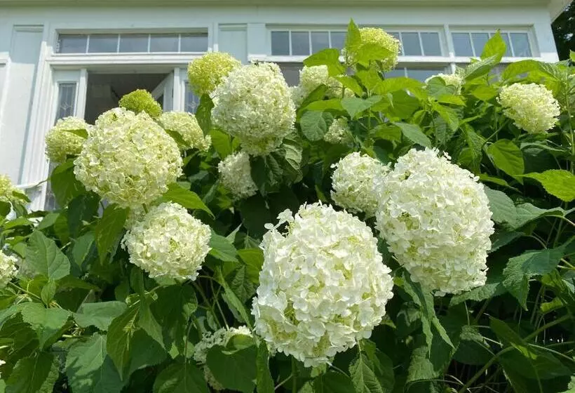 Aamiaismajoitus (B&B) Bloom Farm Guesthouse