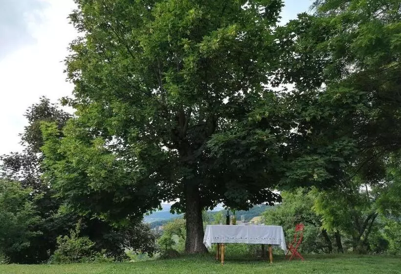 Aamiaismajoitus (B&B) Ca  Dei Ste