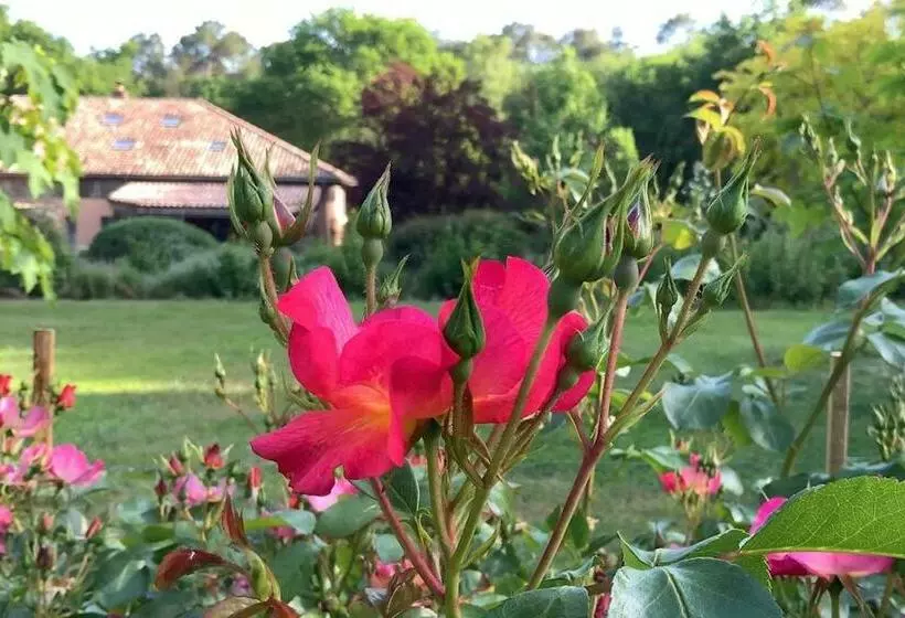 Aamiaismajoitus (B&B) Chambres D Hôtes à Pontonx