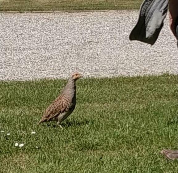 Bed and Breakfast Chambres Du Campreux