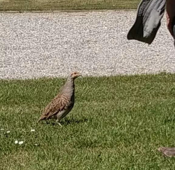 Aamiaismajoitus (B&B) Chambres Du Campreux