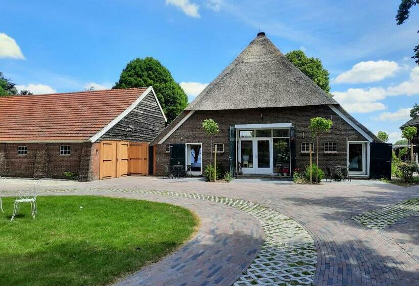 Bed and Breakfast De Mussenhof