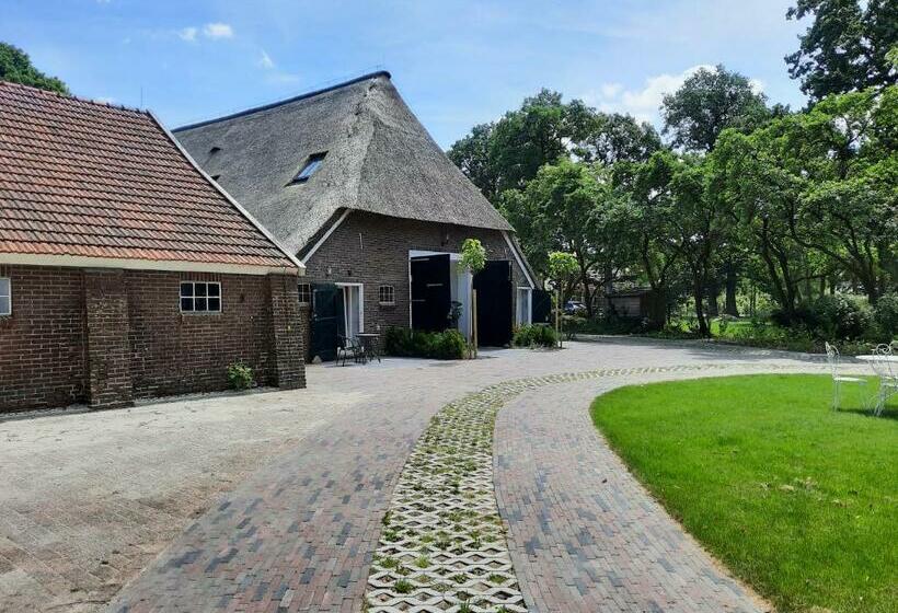 Bed and Breakfast De Mussenhof