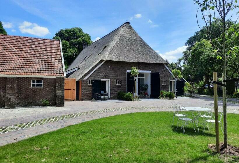 Bed and Breakfast De Mussenhof