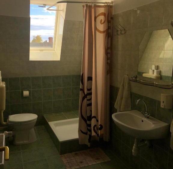 צימר Korona Panzió