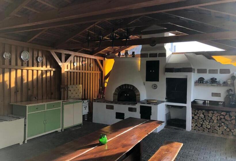 צימר Korona Panzió