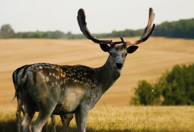 فندق Lerie De L Abbaye