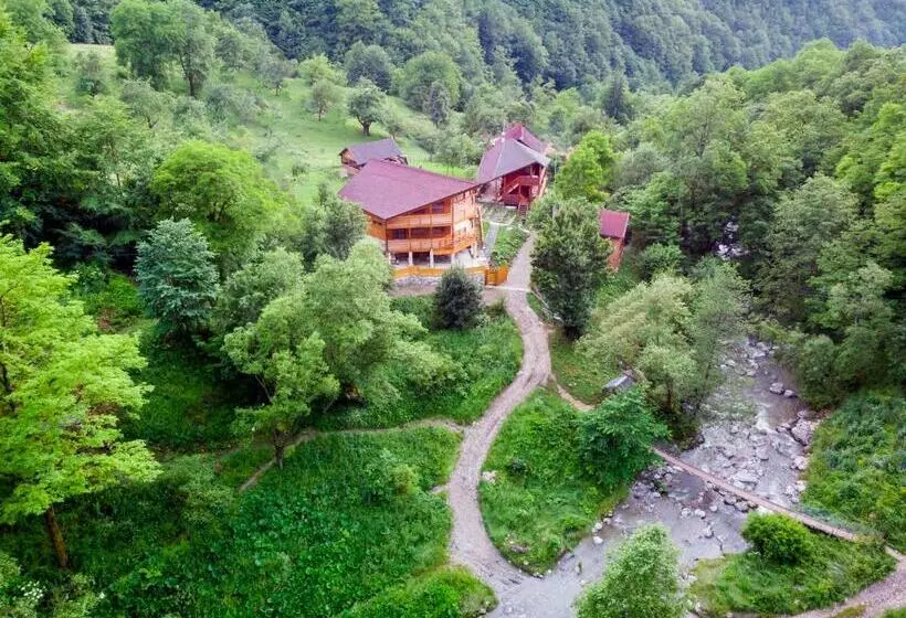 ホテル Pensiunea Huda Lui Papară