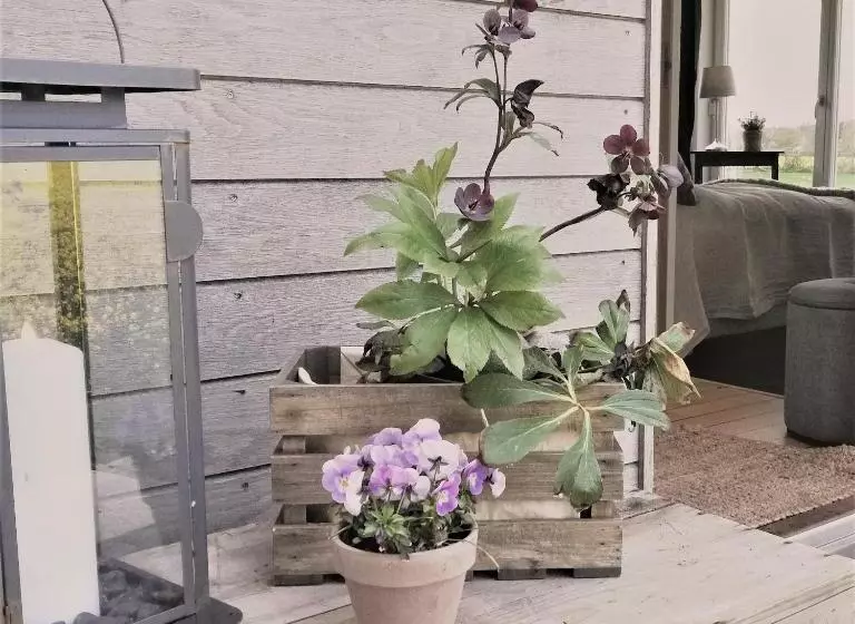 ペンション Lilla Lyngabo