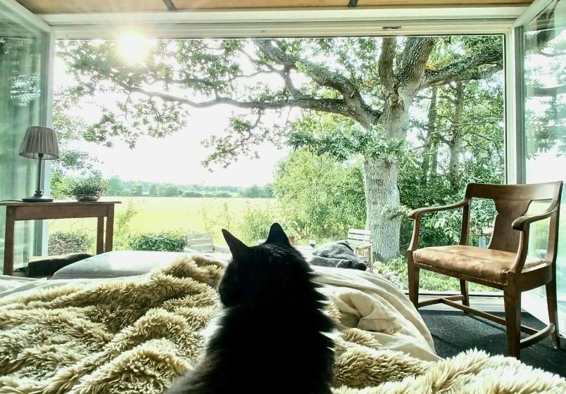 ペンション Lilla Lyngabo