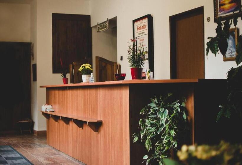 膳宿费 Penzion U Statku