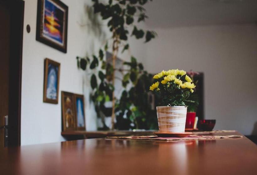 膳宿费 Penzion U Statku