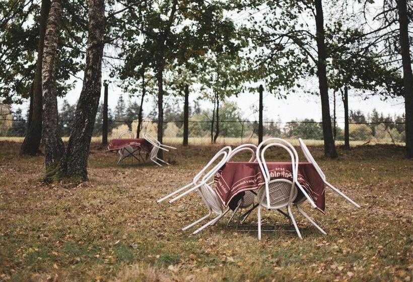 膳宿费 Penzion U Statku