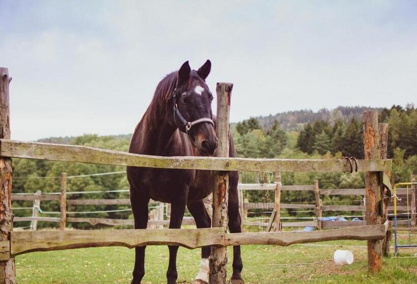 膳宿费 Penzion U Statku