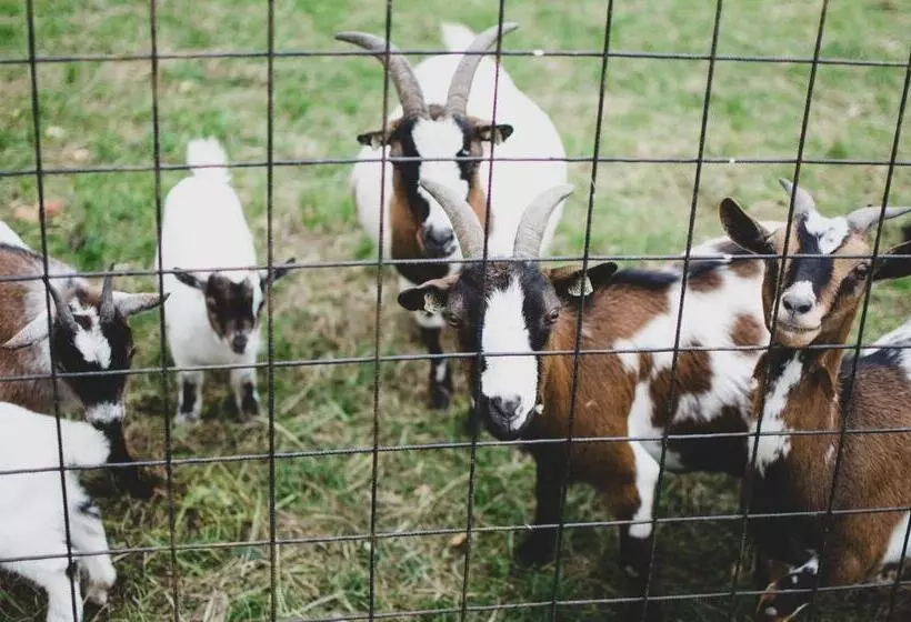 Majatalo Penzion U Statku