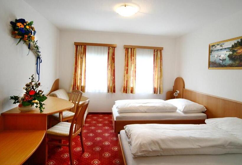 Общежитие Traunfall