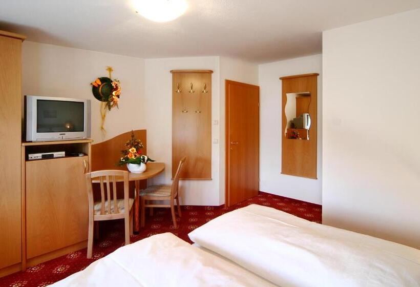 Общежитие Traunfall