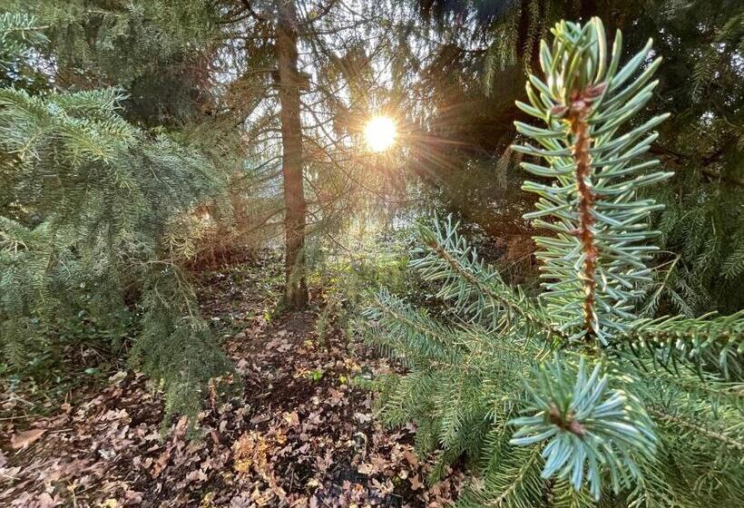 ベッドアンドブレックファースト D Alde Pastorije