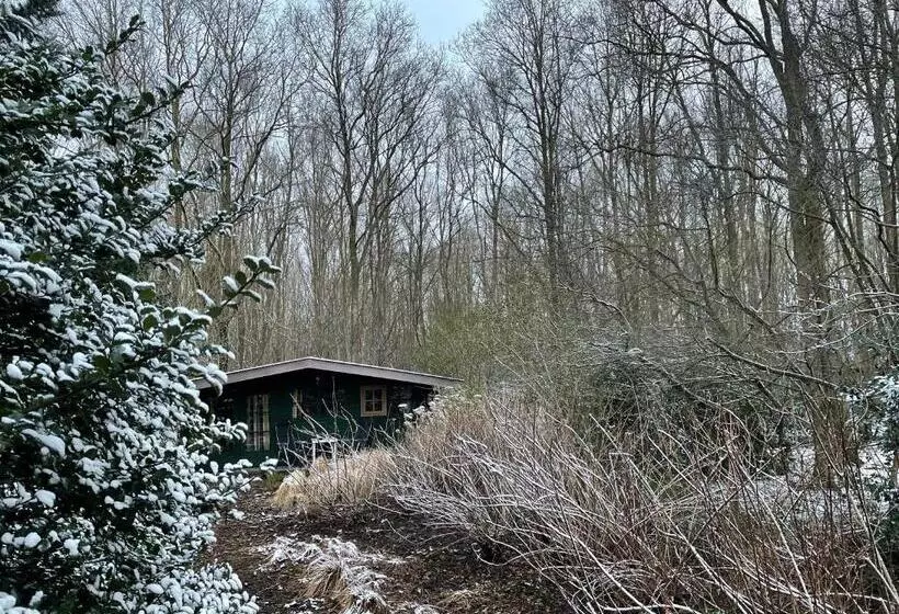 Aamiaismajoitus (B&B) D Alde Pastorije