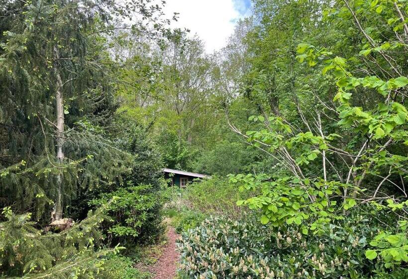 ベッドアンドブレックファースト D Alde Pastorije