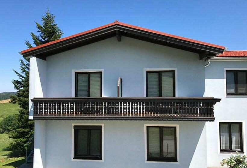 Отель Gasthof Koller