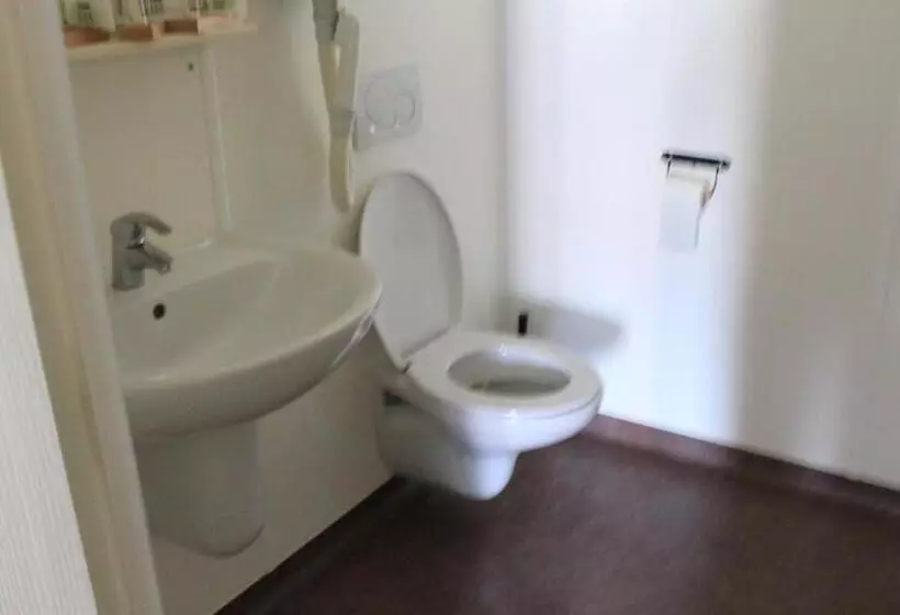 ホテル Hôtel Du Lion D Or