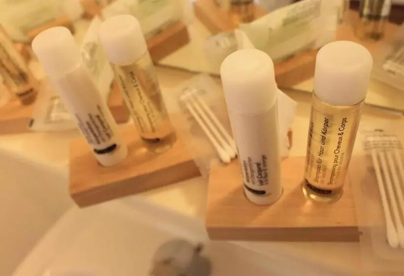 ホテル Hôtel Du Lion D Or