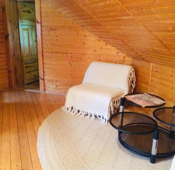 بنسيون Chaty Javorina