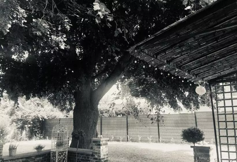 Majatalo La Villa Des Roses   Suite & Spa