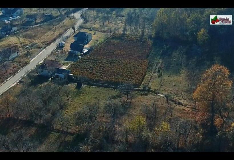 ペンション Livada De Zmeura