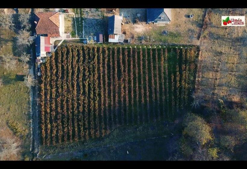 ペンション Livada De Zmeura