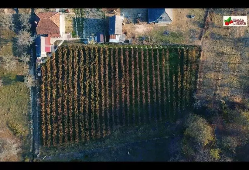 Majatalo Livada De Zmeura