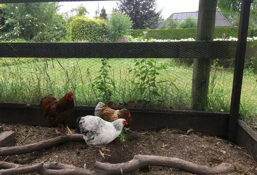 Majatalo Vakantiehuis In Het Voorhuis